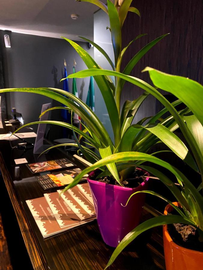 Bes Hotel Cremona Soncino Екстер'єр фото